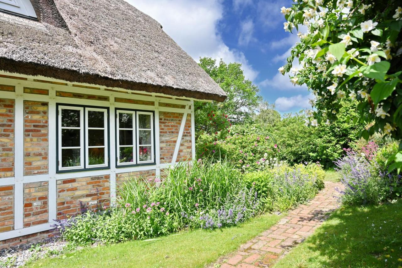 Landhaus Vilmnitz - Wohnung 7 Dış mekan fotoğraf